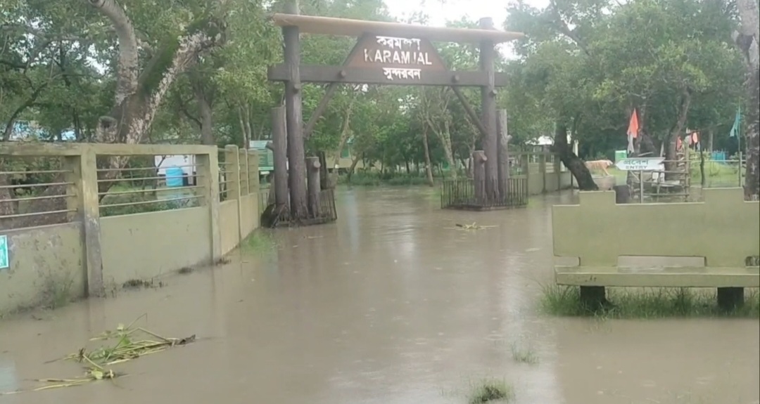 Karamjal submerged during high tide triggered by low-pressure system; no major wildlife threat reported. (Photo: AH Sumon, Mongla/ V7N)