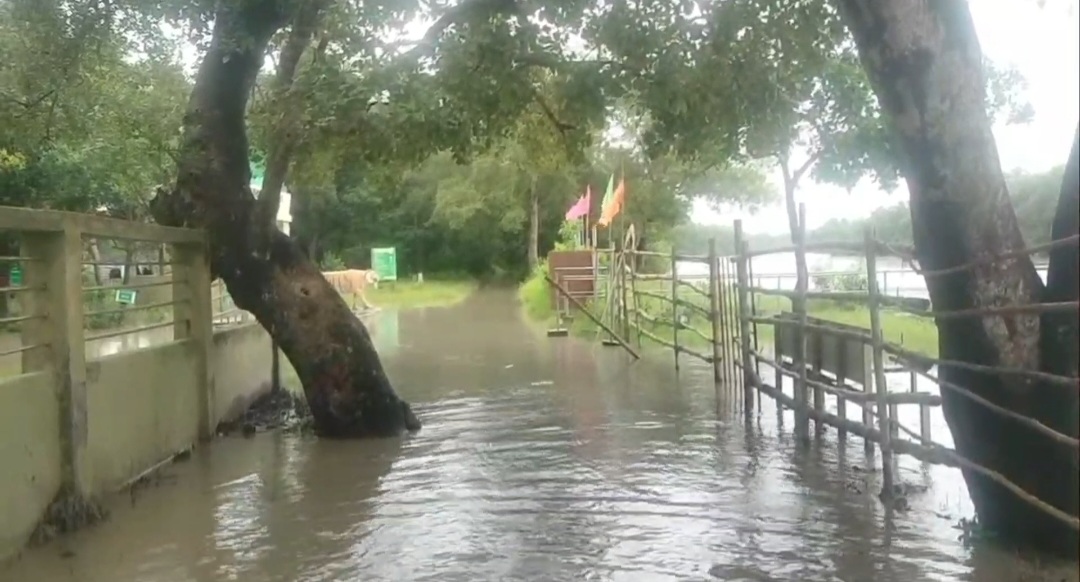 Karamjal Office Road area submerged under tidal water caused by a low-pressure system in the Bay; officials confirm no major damage (Photo: AH Sumon, Mongla/ V7N)