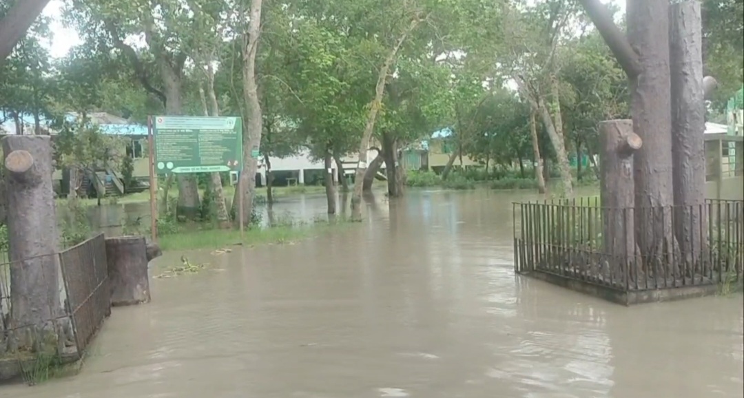 Inside view of Karamjal Office and staff quarters submerged by tidal water following a low-pressure system; no significant damage reported. (Photo: AH Sumon, Mongla/ V7N)